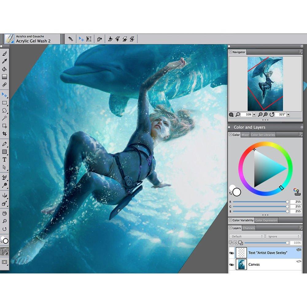 Corel Painter 2017 - Instant Download for Windows (1 Computer) - SoftwareCW - Authorized Reseller