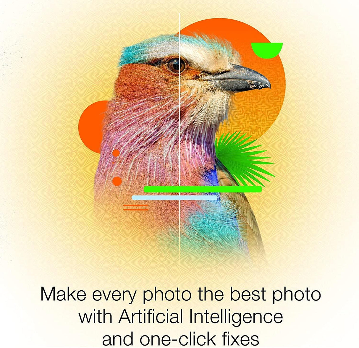 Corel PaintShop Pro 2022 - Instant Download for Windows (1 Computer) - SoftwareCW - Authorized Reseller