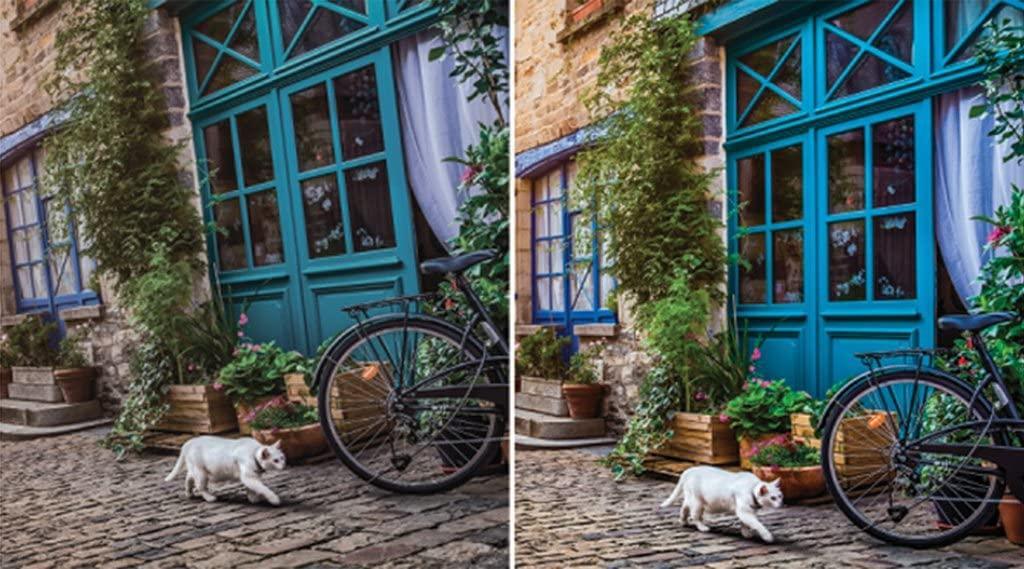 Corel PaintShop Pro X9 - Instant Download for Windows (1 Computer) - SoftwareCW - Authorized Reseller