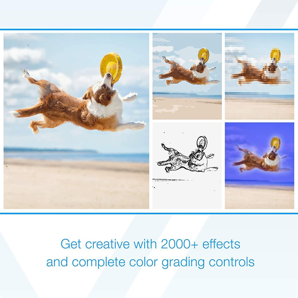 Corel VideoStudio 2021 Ultimate - Instant Download for Windows (1 Computer) - SoftwareCW - Authorized Reseller
