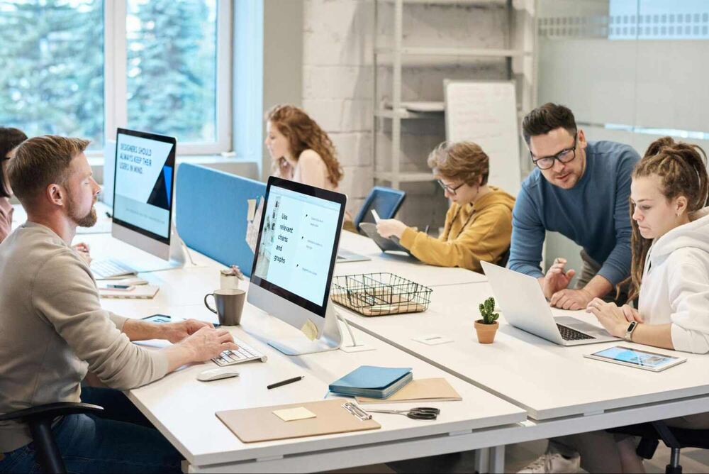 What is Microsoft Office Suite Software?