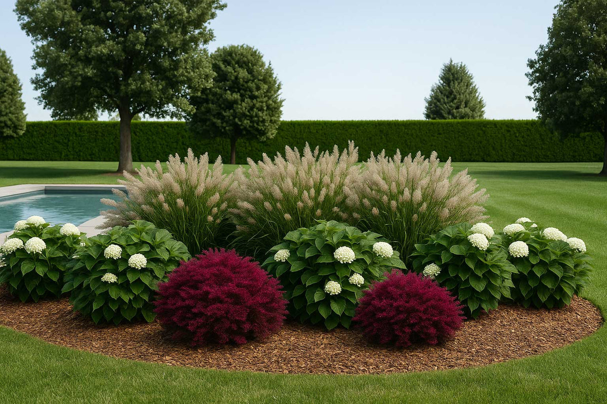 Punch! Home & Landscape Design Essentials v25 - Instant Download for Windows