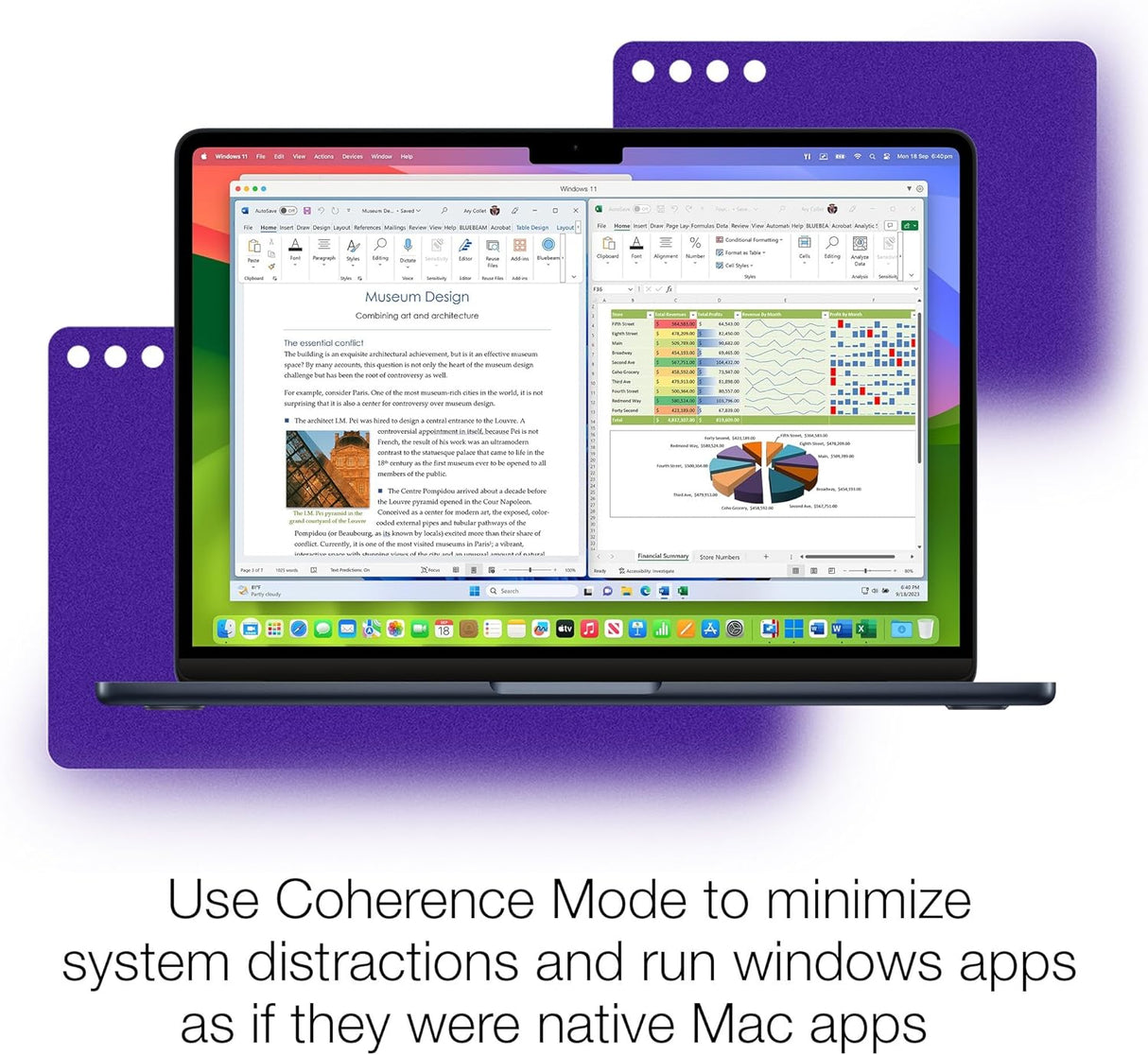 Parallels Desktop for Mac Pro Edition - Instant Download for Mac