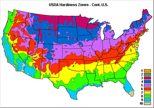 Punch! Home & Landscape Design Professional v25 - Instant Download for Windows