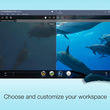 Corel PaintShop Pro 2021 Ultimate - Instant Download for Windows (1 Computer) - SoftwareCW - Authorized Reseller