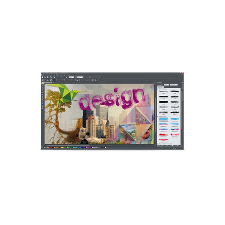 Magix Xara Photo & Graphic Designer 11 - Instant Download for Windows (1 Computer) - SoftwareCW - Authorized Reseller